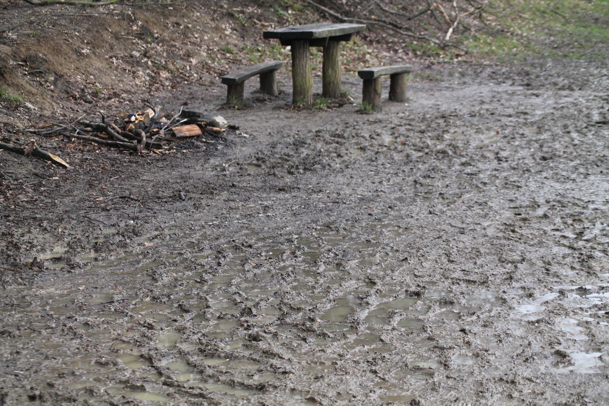 Peisaje... - harsany-aprilie2013-2271.JPG